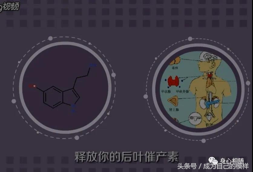 有些女性不想过夫妻生活，是性冷淡吗？想知道原因吗？