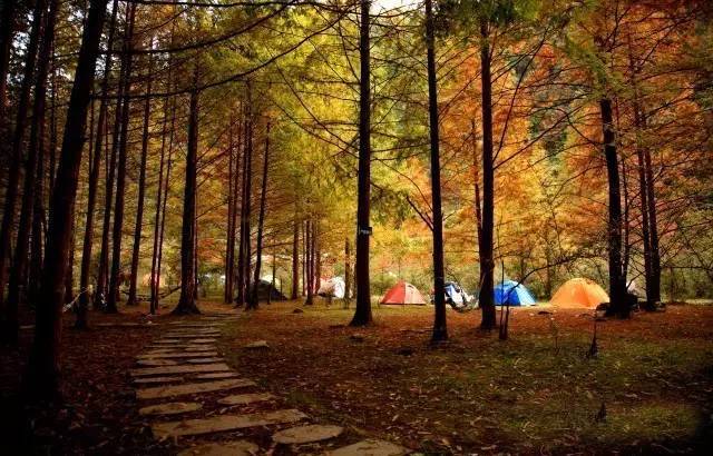 中国秋色最美的五个地方,邂逅国内各地绝美秋色