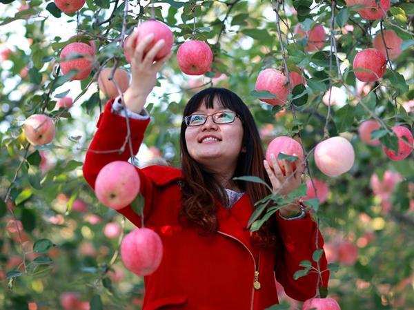 “苹添秋色”—租个房车去旅行