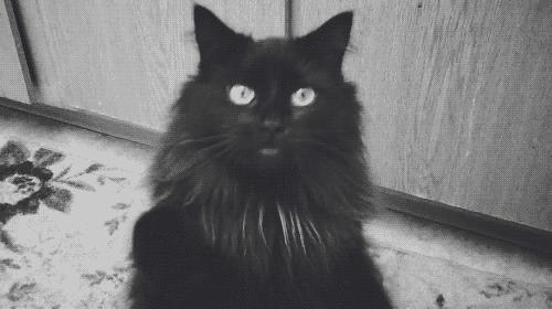 榛戝柕杩囩▼閲嶈杩樻槸缁撴灉閲嶈,榛戝柕浠ュ悗杩橀渶涓嶉渶瑕侀伩瀚屼簡