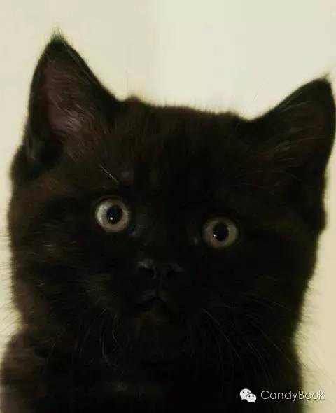 榛戝柕杩囩▼閲嶈杩樻槸缁撴灉閲嶈,榛戝柕浠ュ悗杩橀渶涓嶉渶瑕侀伩瀚屼簡