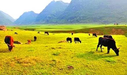 头条|再有人说广西没有秋天，就把这条微信甩给TA看！