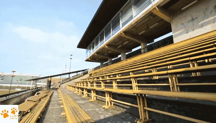 布拉格广场有多厉害,布拉格广场有奇迹