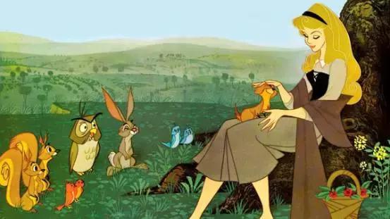 迪士尼14位公主动画片,迪士尼承认的14个公主