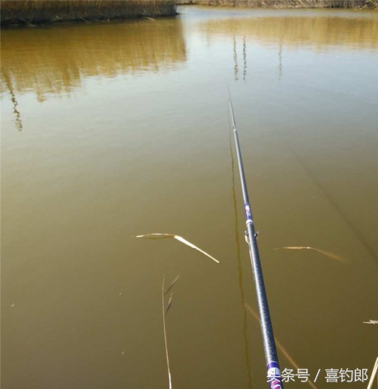 新竿发售便宜吗,新竿试钓视频