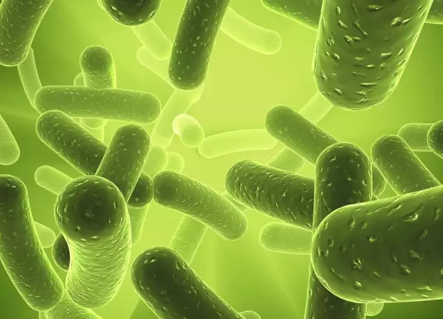 叶绿素焕肤红蓝光,叶绿素可以美容养颜