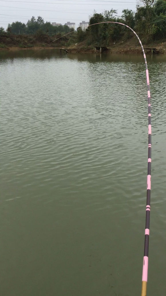 新手钓鱼，用2000的竿子，值不值？