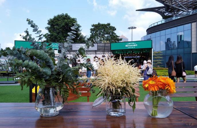 努比亚minis,努比亚z11minis的像素