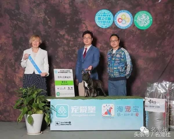 优基10kg中型犬粮,优基小型犬全价幼犬粮