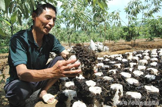 农村的十种最赚钱的小生意,农村致富的10个门路
