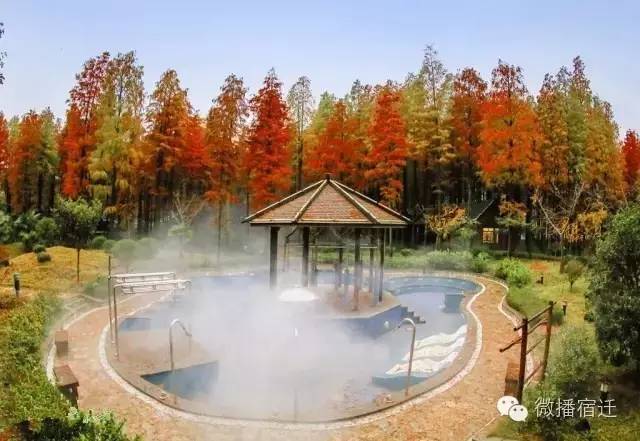 江苏宿迁市冬天最好的温泉,泡温泉地方推荐宿豫区