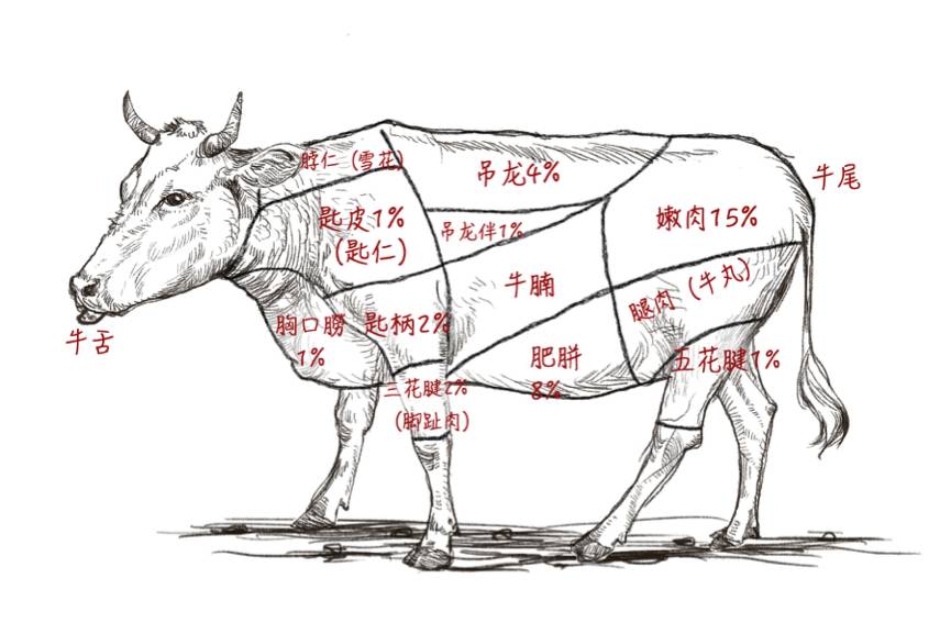 关于潮汕牛肉火锅,这里有一份不完全指南