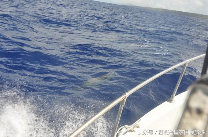 塞班岛旅游浮潜,塞班岛游玩项目地图