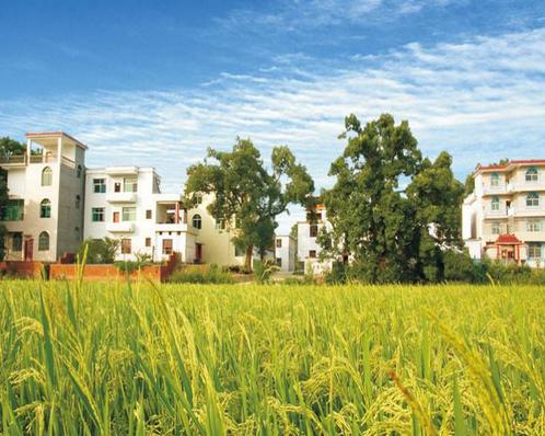 想在农村干点生意,农村创业到底该怎么做