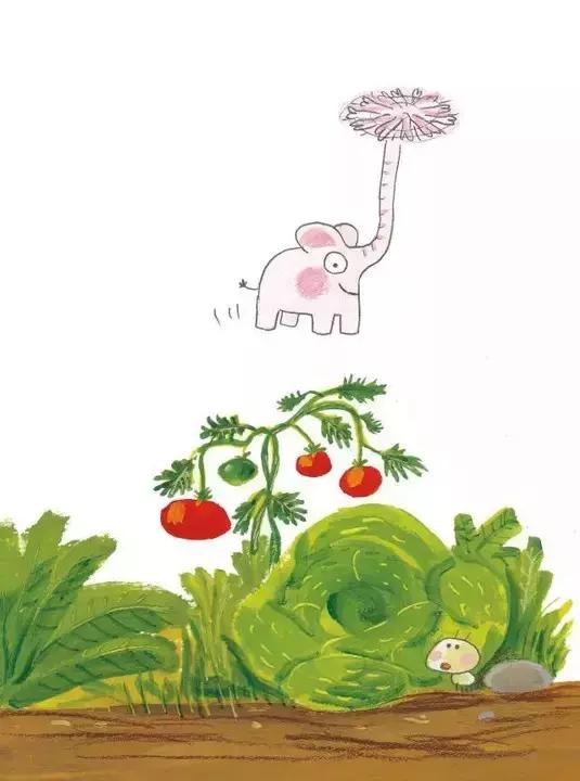 张小宝和谁长的像,张小宝与小孩的视频