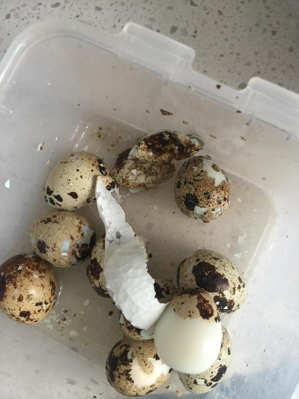 香卤鹌鹑蛋的做法介绍,香卤鹌鹑蛋的做法大全集