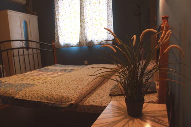 成都蒸汽青年旅舍,成都ins风青年旅舍