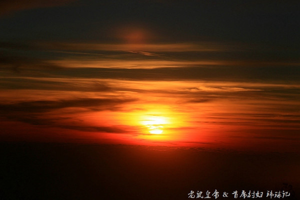 太平洋小小岛国帕劳貌似已被中国人全面占领