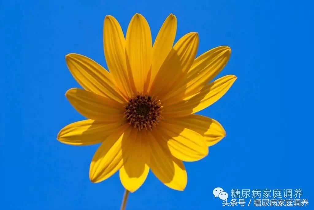 糖尿病治疗常见的错误倾向，对照着看一下，你有没有这样的情况