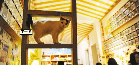 西安有没有浪漫的地方啊,西安适合情侣去的好去处