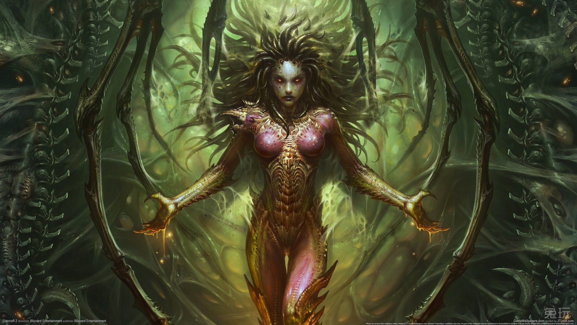 刀锋女王凯瑞甘的前世今生,身逢乱世,何以为情!