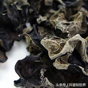 食物中的天然阿司匹林,吃他汀阿司匹林能吃木耳吗