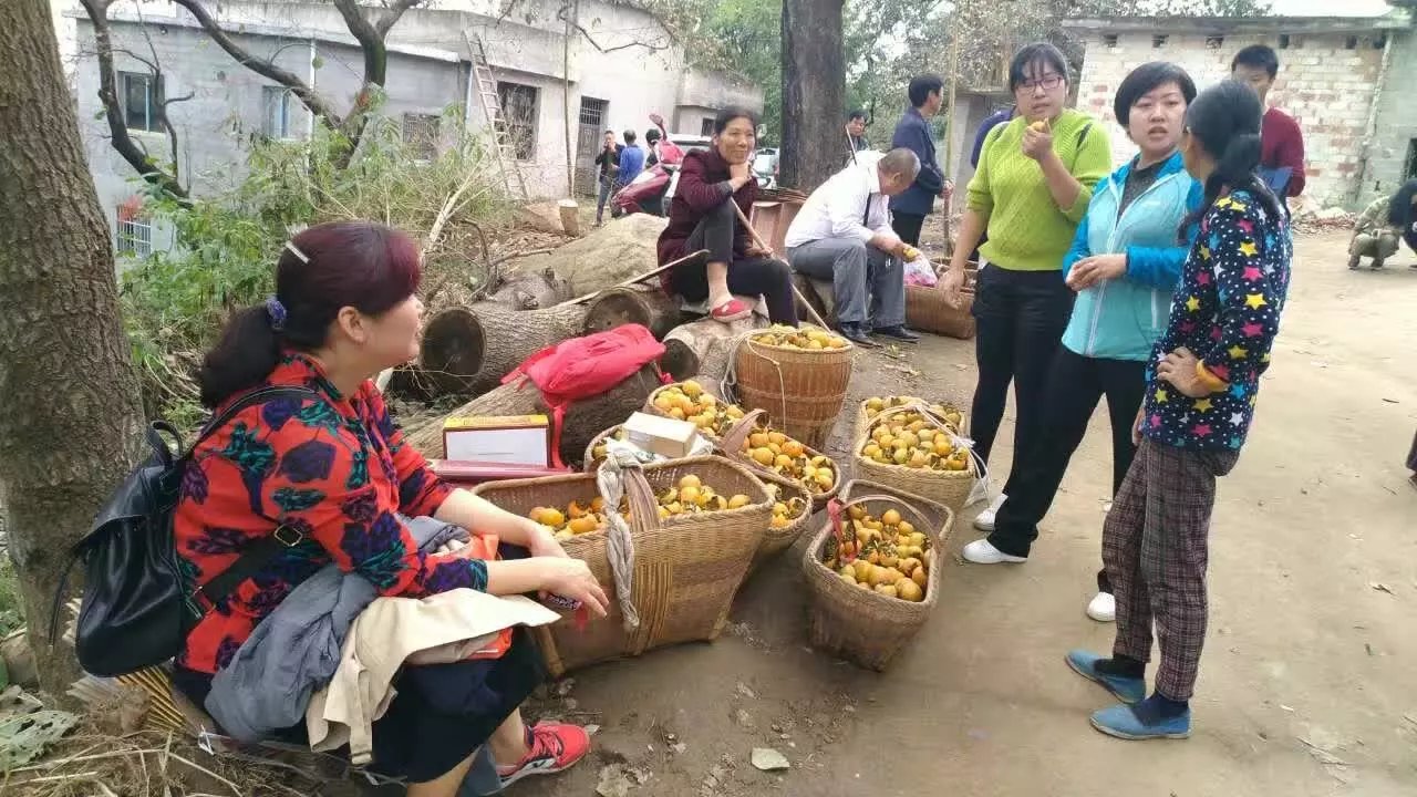 不会亏本的电商不是好电商,为什么电商也在走下坡路