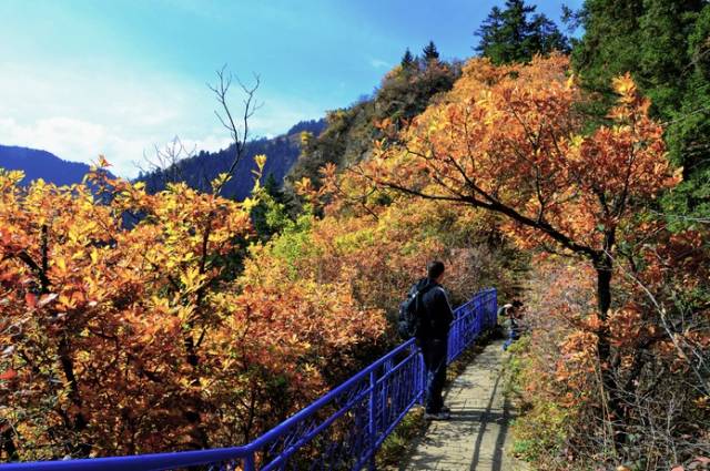 中国城市综合排名五十强兰州,兰州跌出百强城市
