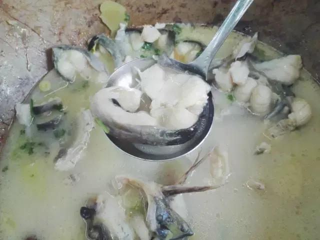 阴雨天喝碗鱼汤的说说心情,下雨天喝鱼汤好不好