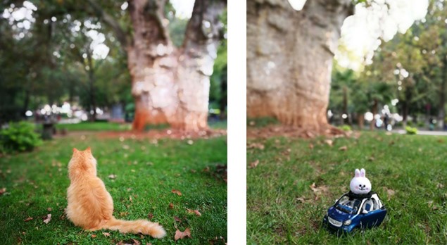 他们都以为我开smart去大理了...蓝鹅事实是...