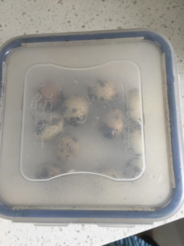 香卤鹌鹑蛋的做法介绍,香卤鹌鹑蛋的做法大全集