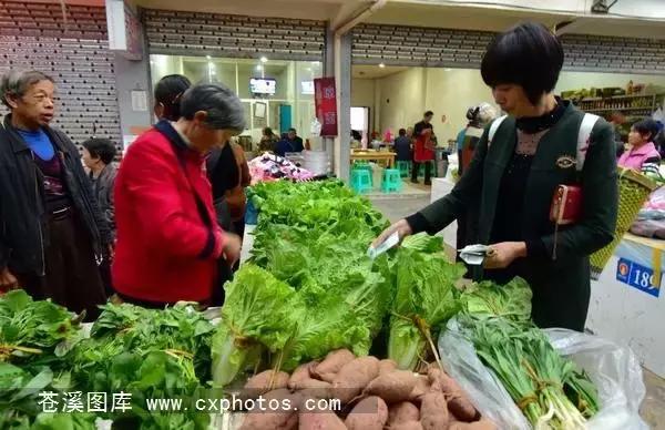 东溪古镇街景,苍溪县古镇全景图