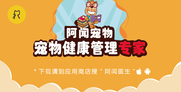 猫粮大盘点,幼猫猫粮适合多大的猫咪吃