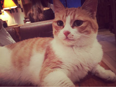 西安有没有浪漫的地方啊,西安适合情侣去的好去处