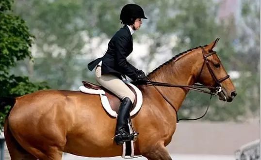 面部摔伤多处骨折注意事项,脸部跌伤骨折怎样处理