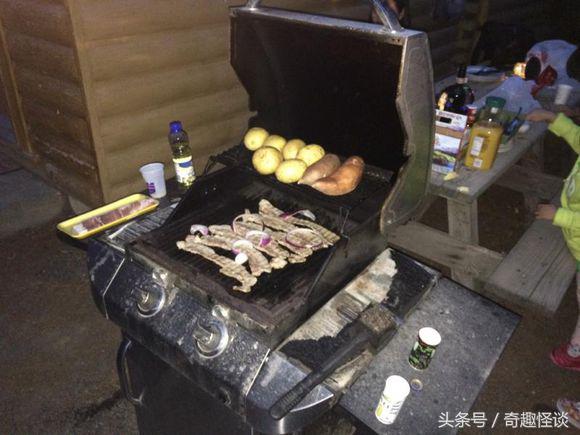 在美国旅游日常,在美国旅游攻略大全最新