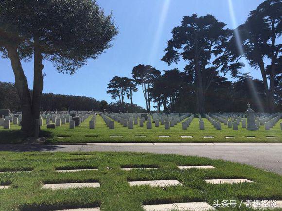 在美国旅游视频教学,美国自由行自驾游