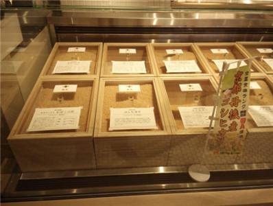 为什么日本也叫米国,日本为什么叫美国为米国