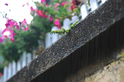 一条街一处景尽显烟火气,一条街古色古香