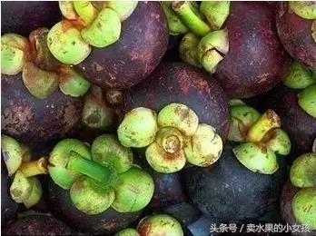 山竹号称水果皇后营养高,山竹是一种很有名的热带水果