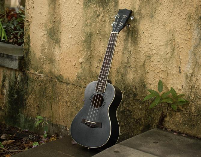 最好学习的小乐器,中老年学习什么乐器比较好学