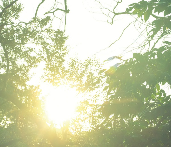 必看10部经典爱情日本电影,情书和恋空