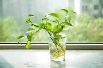 新房子快速去除甲醛,新房怎样去甲醛