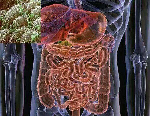 8个月婴儿腹泻的表现及解决办法,连续4.5天腹泻不止是什么情况