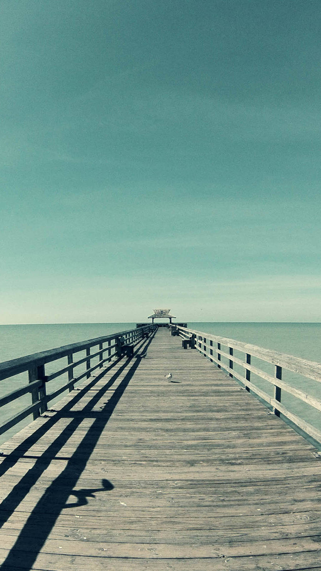 教你如何免费寻找最新电影视频