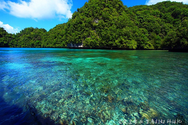 彩虹王国美术作品,彩虹王国紫色