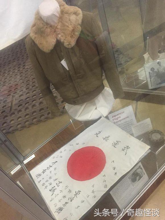 在美国旅游视频教学,美国自由行自驾游