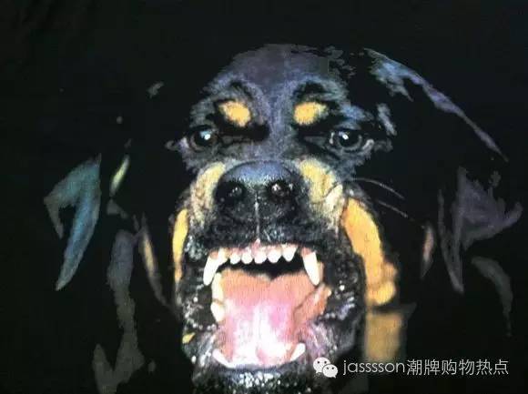 复合动物进化论,达尔文动物进化论观点