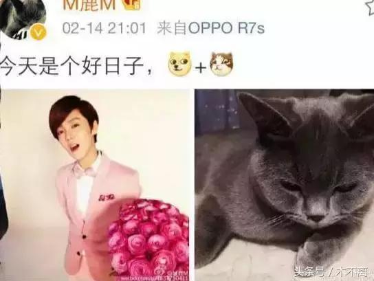 鹿晗对你心动的瞬间,鹿晗的对你爱不完