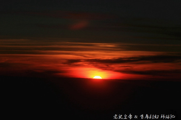 太平洋小小岛国帕劳貌似已被中国人全面占领